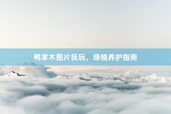 鸭掌木图片抚玩，绿植养护指南