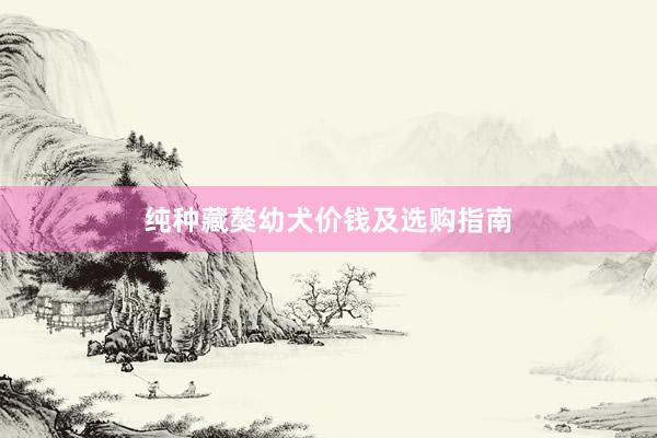纯种藏獒幼犬价钱及选购指南