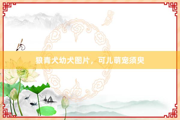 狼青犬幼犬图片，可儿萌宠须臾